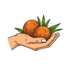 Hand holding two round fruits with green leaves