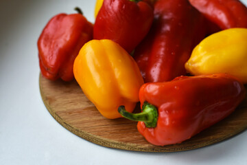 Wet colorful paprika on wooden plate on the table. Harvest of sweet different peppers with water drops.  Healthy organic food concept. Food background.