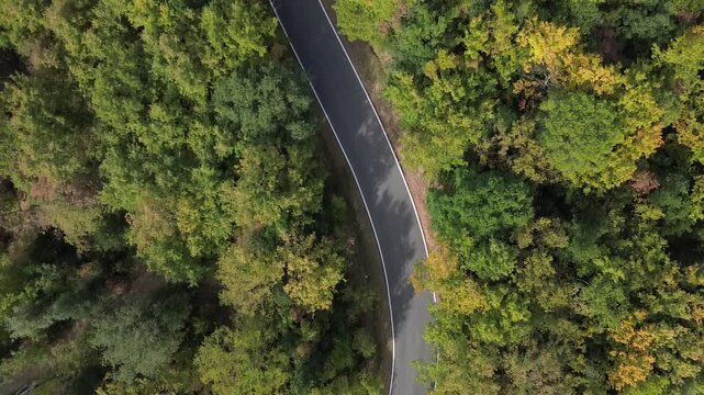 vista aerea con drone di strada tortuosa in bosco in toscana