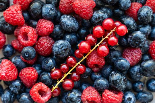 A plate with berries. Blackcurrants, raspberries and blueberries top view.