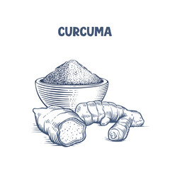 Vector illustration of curcuma or turmeric root and powder in engraving style