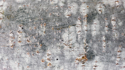 Texture of rough bark on a tree captured closely showing details and patterns in natural environment