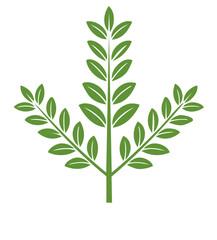 Fototapeta premium Green botanical illustration of a leaf with branches in a symmetrical design.