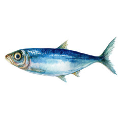 Watercolor sardine illustration png fish png seafood png ocean png aquatic png painting png art png watercolor png marine png illustration png transparent background image