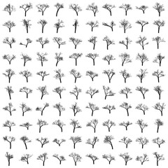 Vector art of collection of diverse deciduous trees in silhouette, , showcasing various branch structures and forms