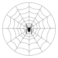 Spider in Web, Halloween illustration on black background