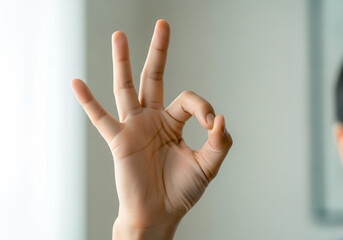 Asian Hand Showing OK Gesture Action Agreement Approval Success Communication Business Close Up