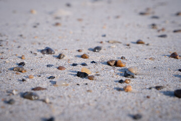 Small pebbles on sandy North Sea beach in sunlight