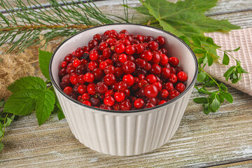 Natural organic wild forwst lingonberry