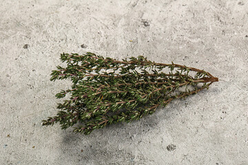 Fresh green Thyme branch isolated