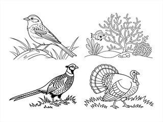coloring page line art the animal black vector bundle
