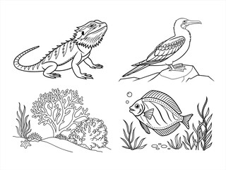 coloring page line art the animal black vector bundle