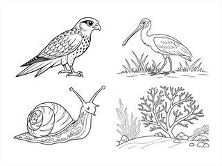 coloring page line art the animal black vector bundle