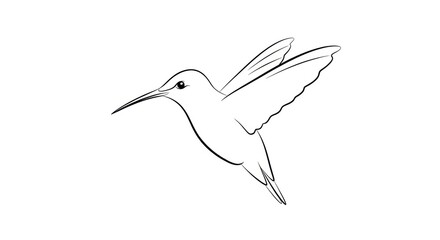 Obraz premium Elegant hummingbird outline in flight, minimalist design, vector illustration, nature's delicate