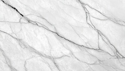 Obraz premium Elegant Carrara Marble Surface with Striking Black and Grey Veins, Perfect for Modern Interiors