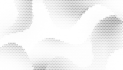 Fototapeta premium Elegant Star Halftone Pattern in Black and White