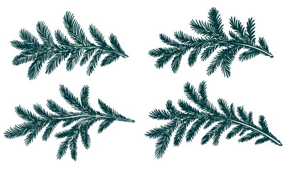 Christmas green tree branch set, hand drawn	
