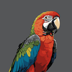 cute parrot vector with dark grey background