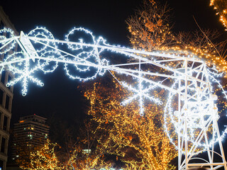 中之島・イルミネーション