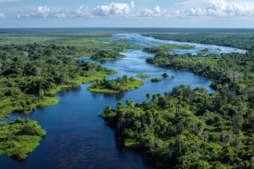 Lush Green Amazon Rainforest Canopy and Winding Black River Under a Partially Cloudy Blue Sky Aerial View of Amazon River Basin in South America