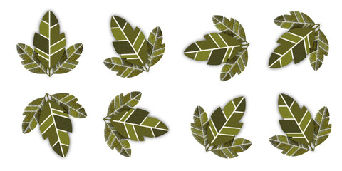 leaves isolated on a white background. leaf Wallpaper, Luxury nature leaves pattern design, Vector Illustration.
