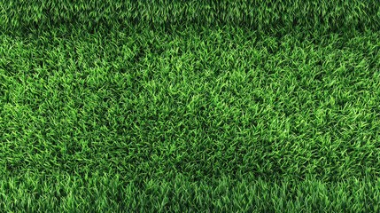 Close Up Lush Green Grass Texture Showing Growth and Natural Pattern