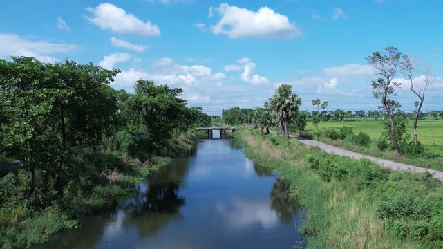 Green Village Montage from Bihar, India