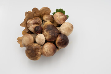 Collection of fresh porcini mushrooms in a woven basket with natural leaves on a white background.