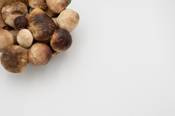 Collection of fresh porcini mushrooms in a woven basket with natural leaves on a white background.