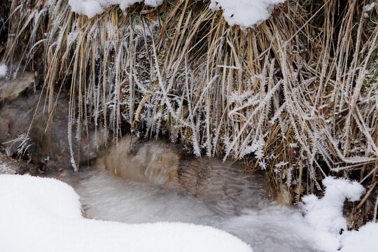 vista dettagliata di lunghi fili d'erba secca, schiacciati dal peso della neve, sopra un piccolo ruscello con acqua ghiacciata, in montagna, in inverno