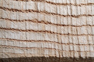 Detailed Close Up Of Textured Wood Grain Surface Showing Horizontal Lines in Warm Earth Tones