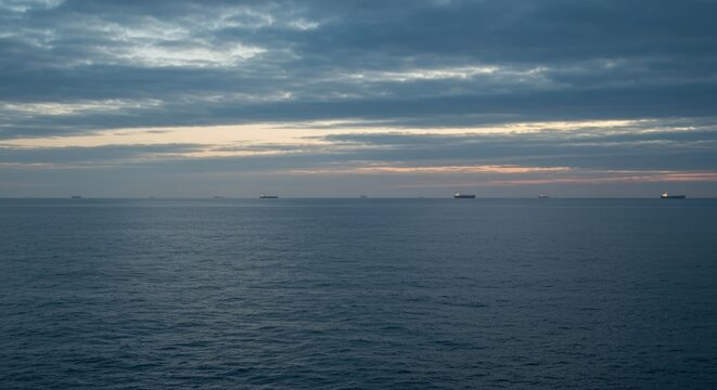 Calm ocean stretches to horizon dotted with distant cargo ships beneath a cloudy sky
