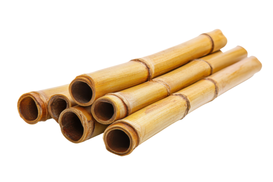 Group of dried bamboo stalks isolated on transparent background. Bamboo isolated on white background.