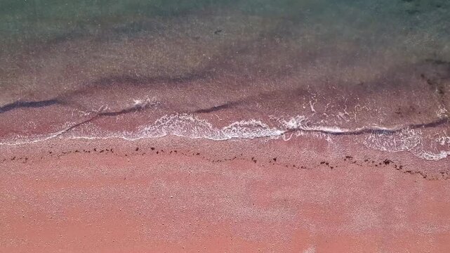 Pink Sand Beach and Blue Rolling Waves Aerial View