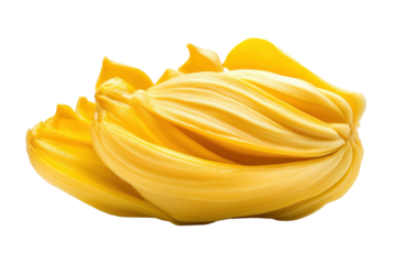 Ripe jackfruit bulbs isolated on transparent background. Jackfruit isolated on white background.