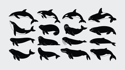 Captivating collection of marine mammal silhouettes including whales dolphins and seals for educational or design projects