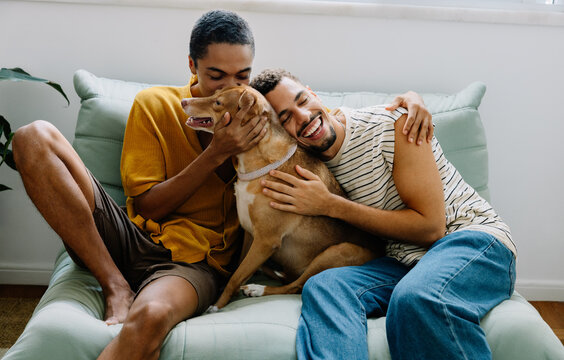 Happy gay couple with their dog relaxing on a cozy green sofa together