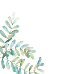 Watercolor floral card with eucalyptus branch. Hand drawn summerl illustration. Wedding border