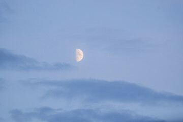 Half moon at evening in Poland