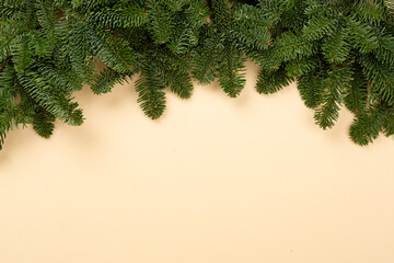 Christmas tree branches on color background, top view