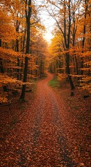 Golden Path Through Autumnal Forest Scenic Woodland Nature Landscape