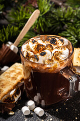 Thick smores hot chocolate
