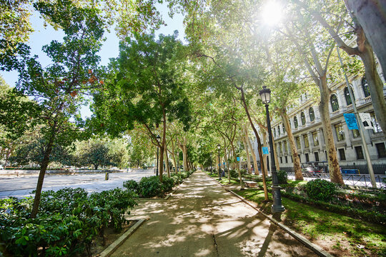 Paseo del Prado walkway, Madrid, Spain, Europe.
