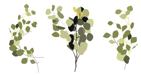 Elegant vector illustration of eucalyptus branches with green leaves. Minimalist botanical design perfect for invitations, branding, packaging, posters, and natural-themed decor.