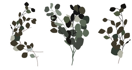 Elegant vector illustration of eucalyptus branches with green leaves. Minimalist botanical design perfect for invitations, branding, packaging, posters, and natural-themed decor.