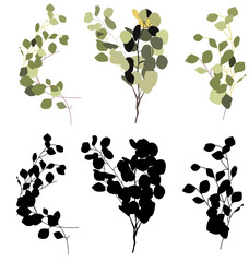 Elegant vector illustration of eucalyptus branches with green leaves. Minimalist botanical design perfect for invitations, branding, packaging, posters, and natural-themed decor.