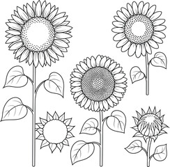 A colorful set of vector flowers and seamless floral patterns for summer design and vintage decoration