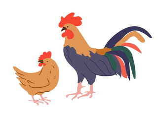 Colorful rooster and hen standing together. Flat vector illustration of farm birds isolated on white background. Stylized design element on farm theme