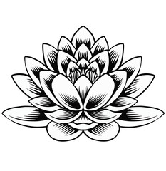 Lotus flower line art black and white outline vector illustration
