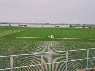 Green Rice Fields and Irrigation Patterns in Rural Japan